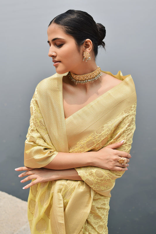 Georgette Brocade - Madhura