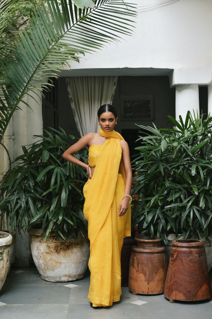 Organza Embroided Saree - Suhani