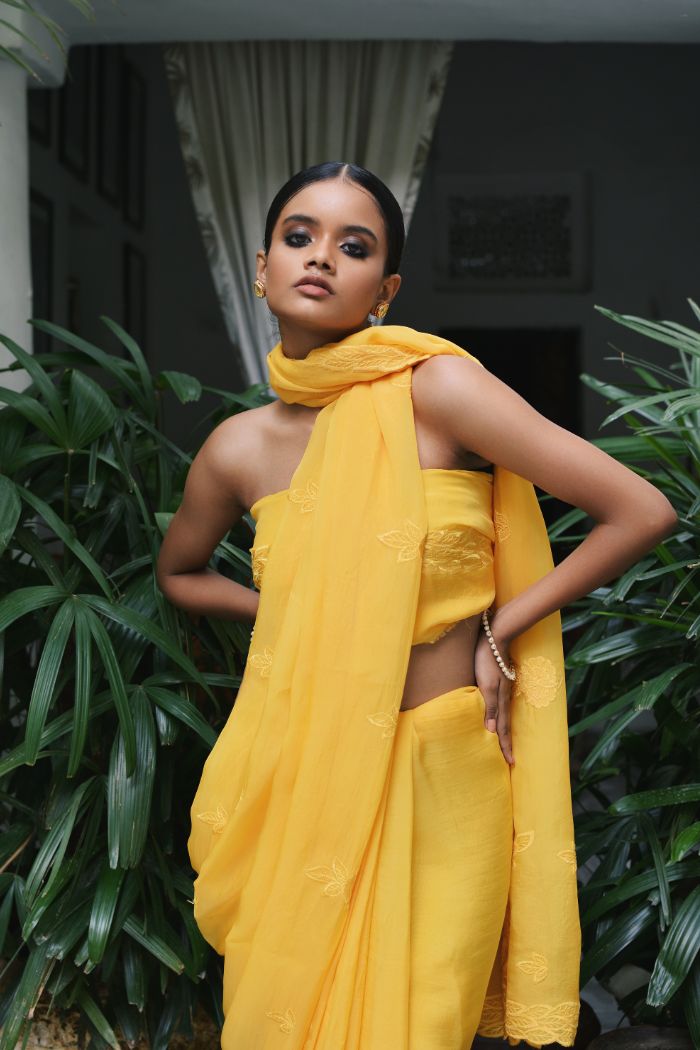 Organza Embroided Saree - Suhani