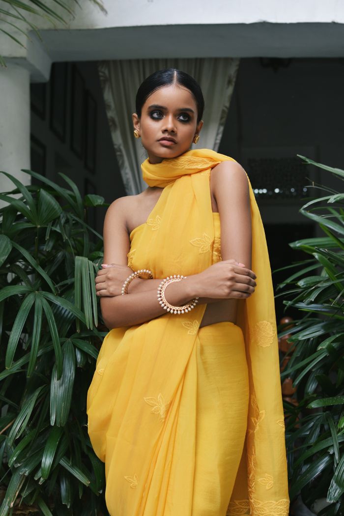 Organza Embroided Saree - Suhani