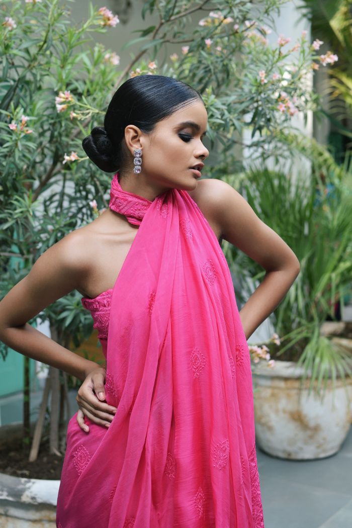 ORGANZA EMBROIDED SAREE - AAMANI