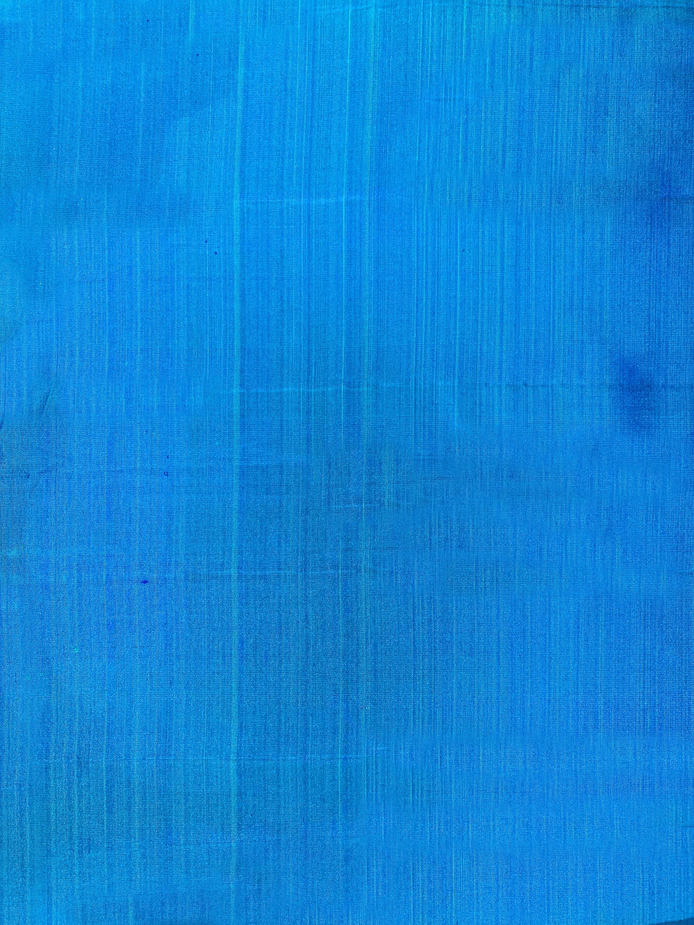 Kanchipuram Silk Saree - Mala