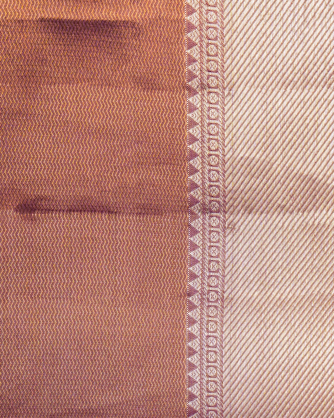SIlk Tissue Saree - Roopa