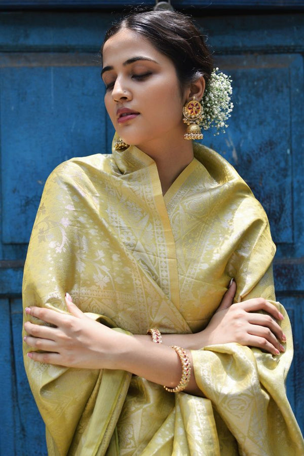 Two Toned Jacquard Brocade Saree