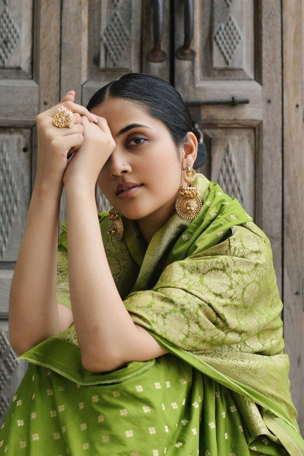 georgette saree with brocade geometric print