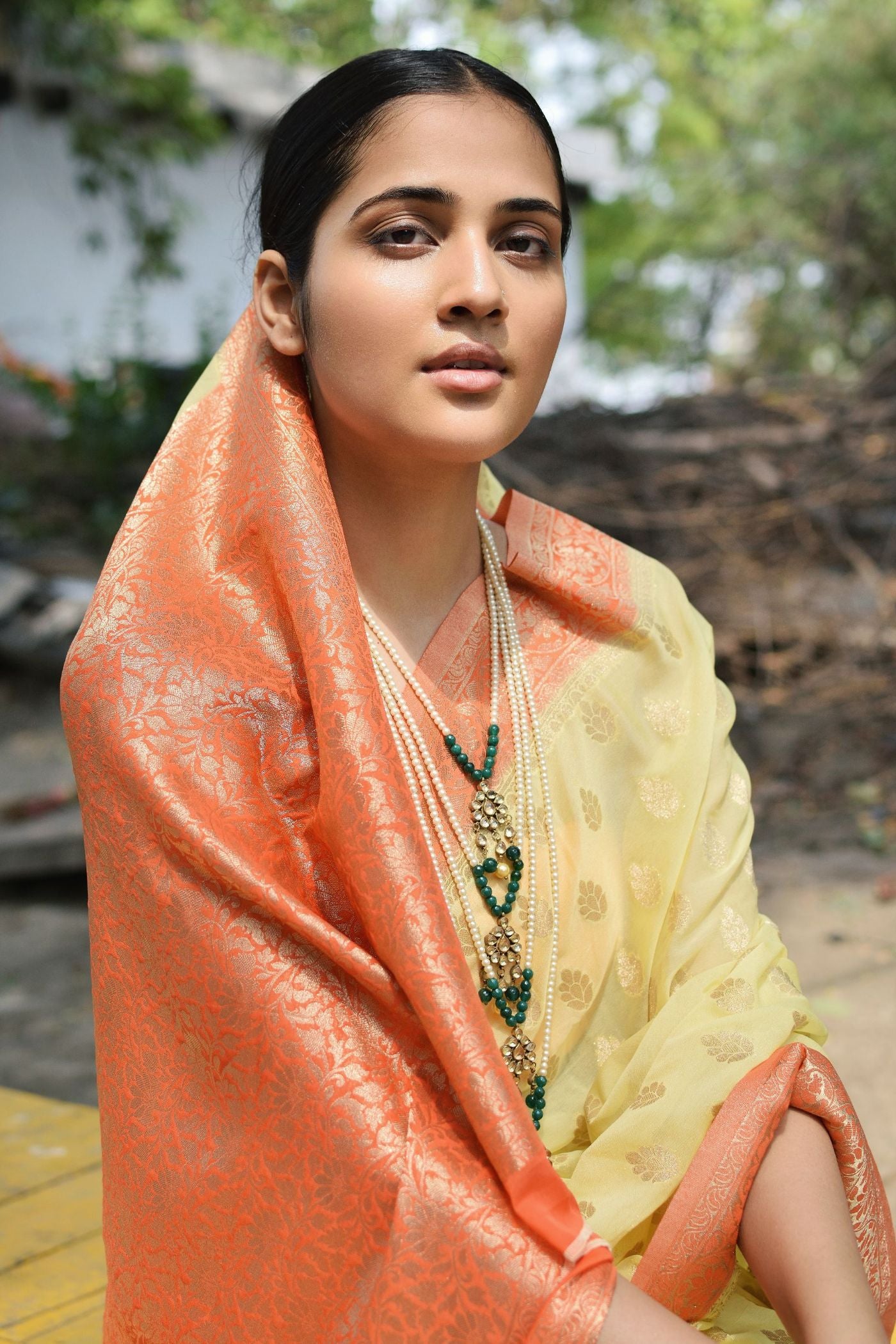 Georgette Brocade - Shringaar