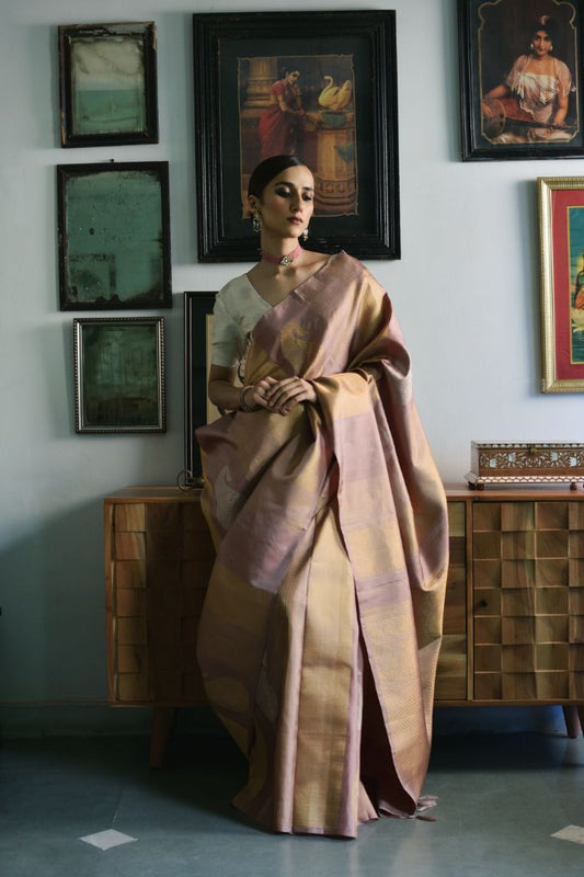 Silk Tissue Saree - Yeetika