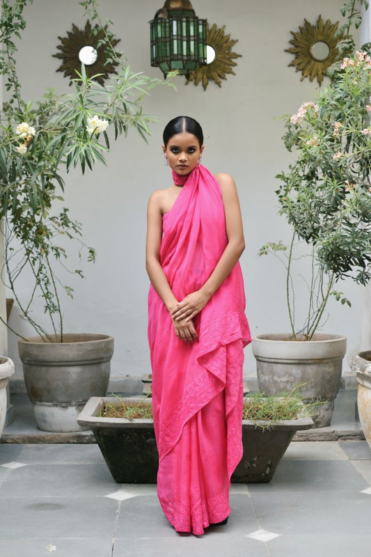 ORGANZA EMBROIDED SAREE - AAMANI
