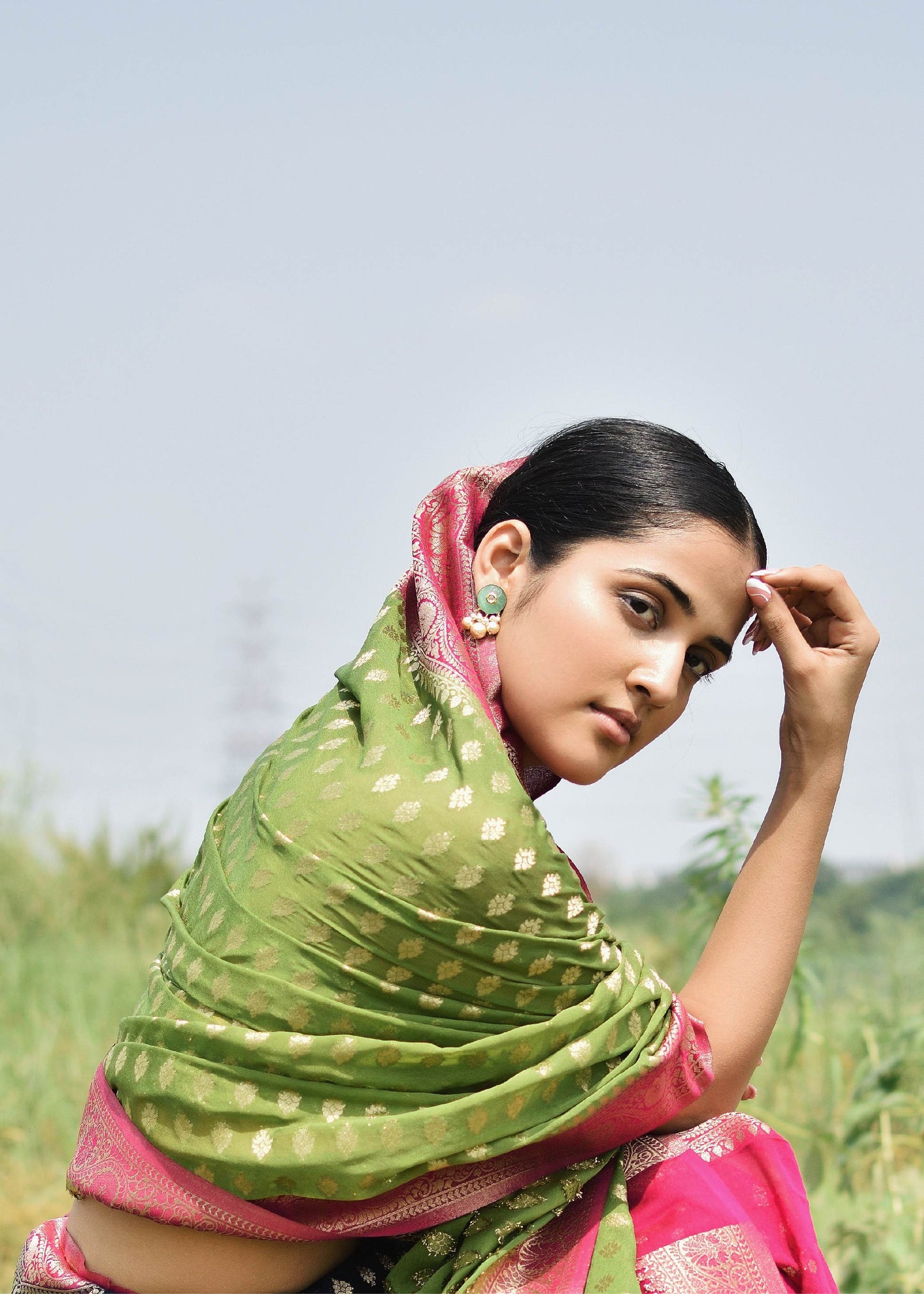 Georgette Brocade - Kavita