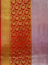 Silk Tissue Saree - Anchal