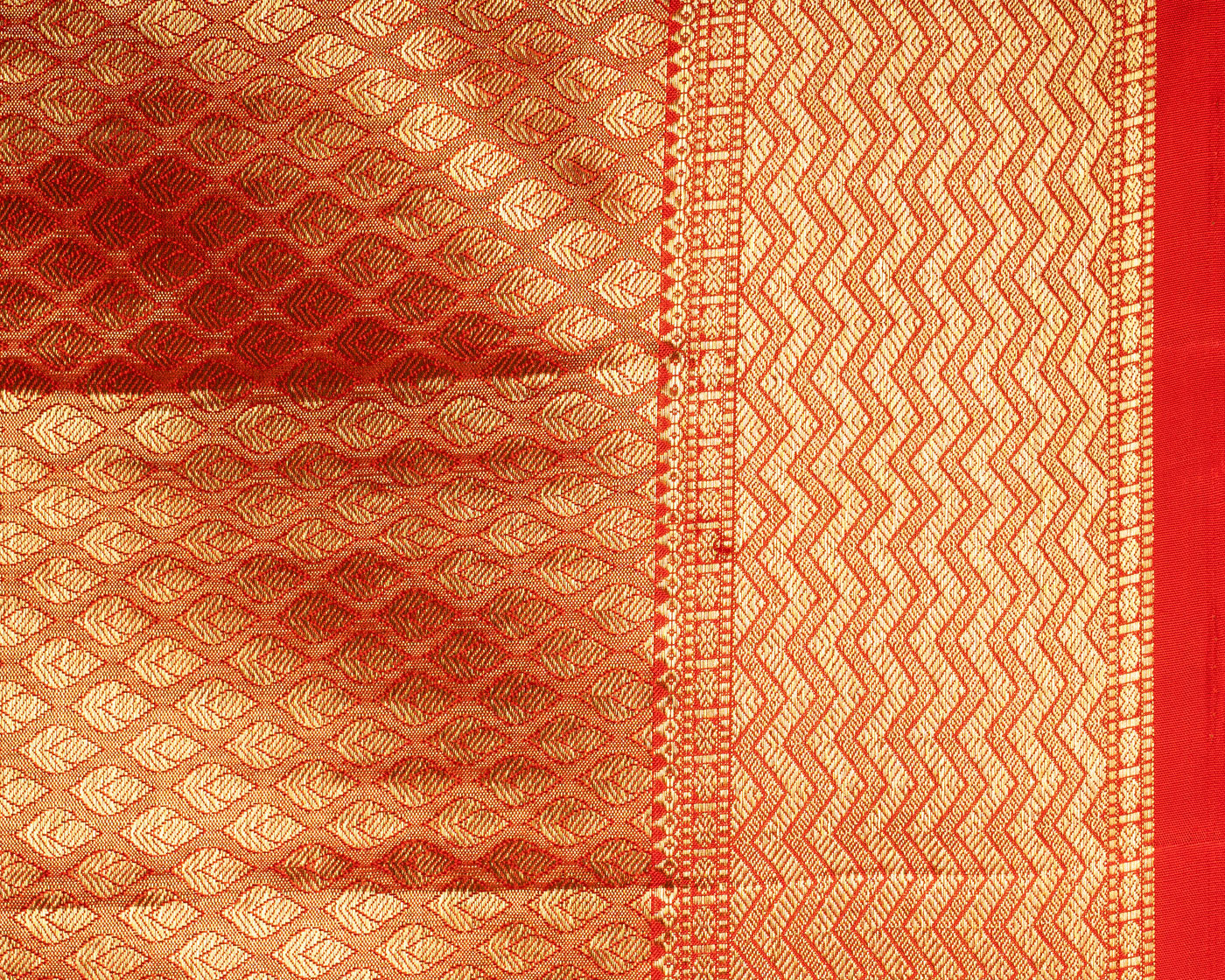 SIlk Tissue Saree - Preet