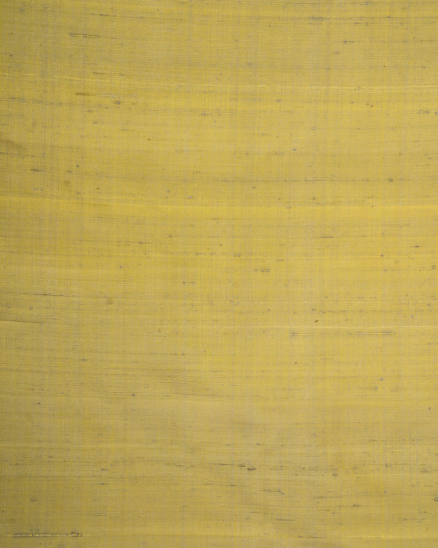 Silk Tissue Saree - Gita